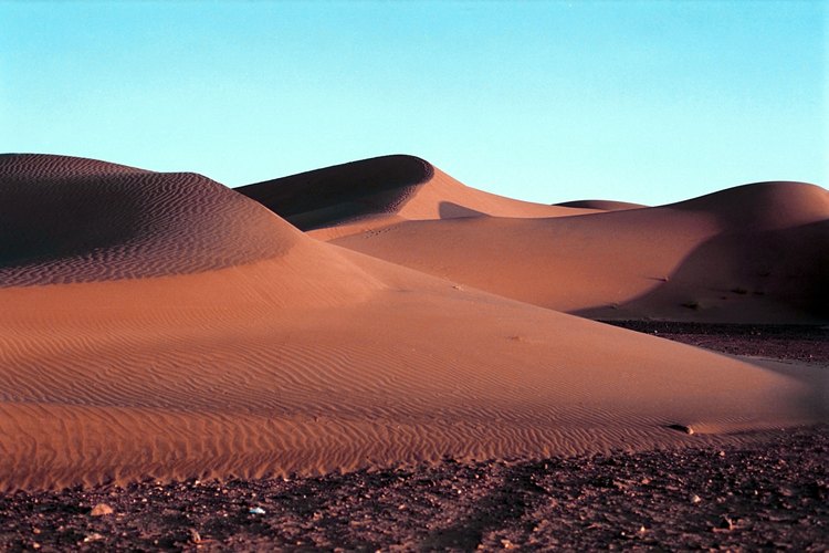La supervivencia de Río de Oro depende del agua potable importada.