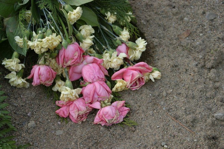 La exposición al etileno puede provocar a las flores decolorar prematuramente.