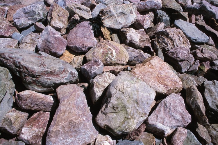 Puedes usar piedras de formas irregulares para crear una linda pasarela.