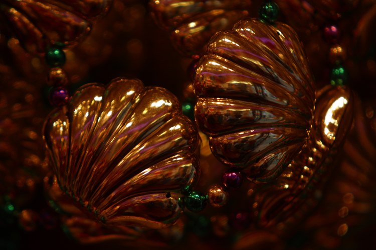 Variedad de conchas cauri