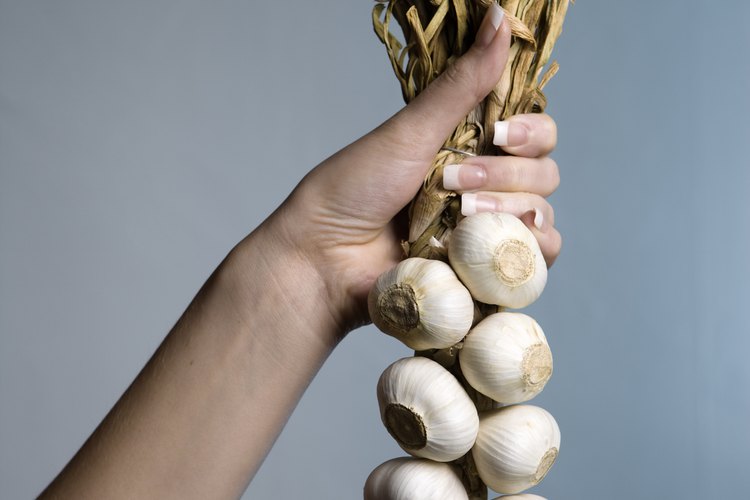 El ajo le da carácter a una variedad de delicias culinarias.