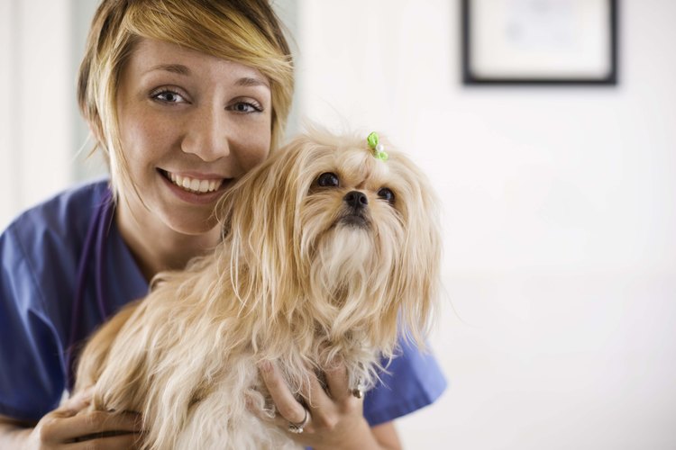 La mayoría de los veterinarios coinciden en que es seguro de usar en la piel y el pelo.