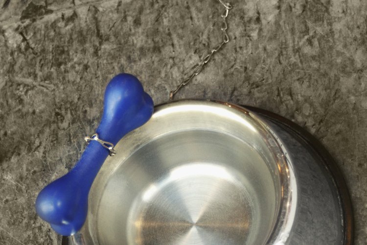 Usa un plato de perro con un diámtro interior de al menos 8 pulgadas (20,32 cm).