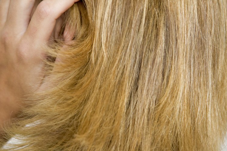 Aprende a cortar el cabello en capas para ahorrar un poco de dinero.