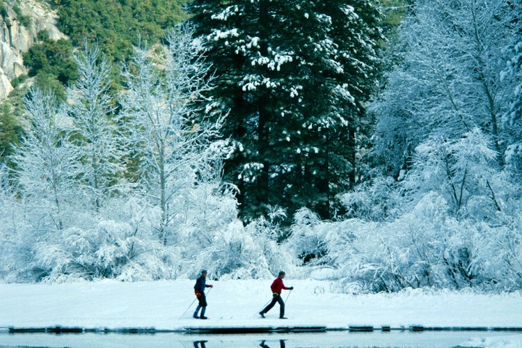 Ponte raquetas para nieve y explora las veredas de invierno de Yosemite.