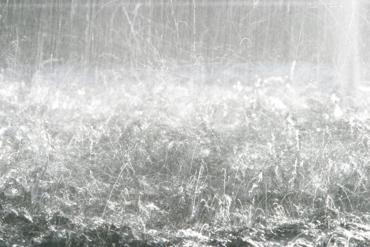 Lluvias fuertes generalmente producen la aparición de hormigas aladas.