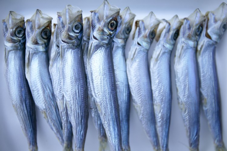 Las sardinas congeladas deben limpiarse antes de cocinarlas.