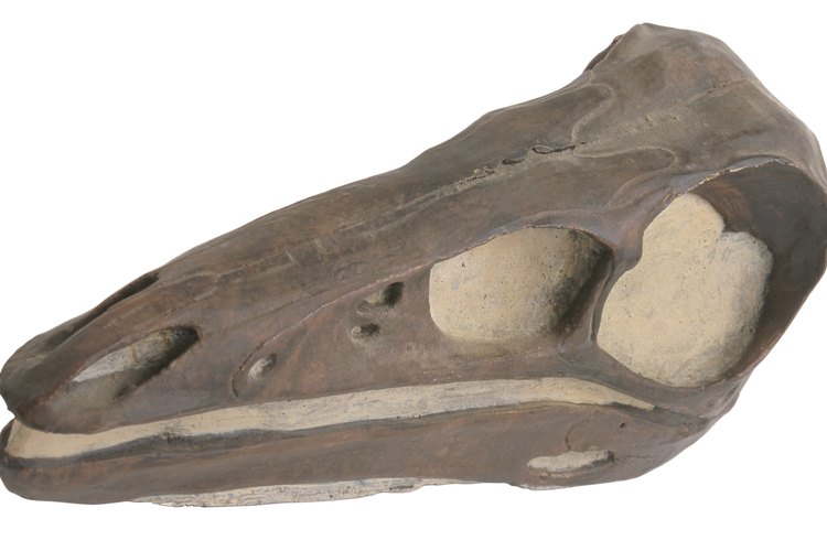 Los dinosaurios son un tópico fascinante para niños de todas las edades.