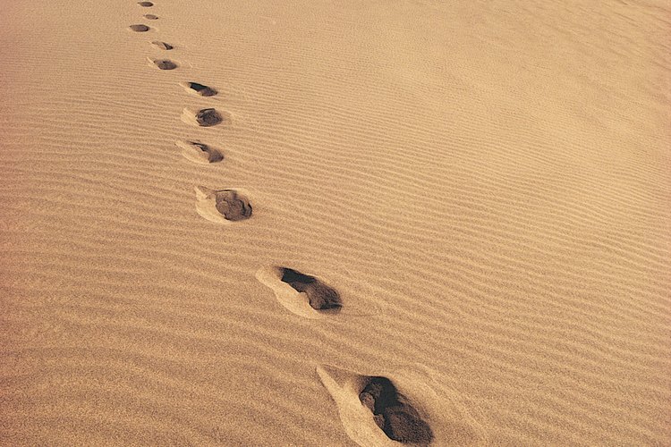 Huellas en el desierto.