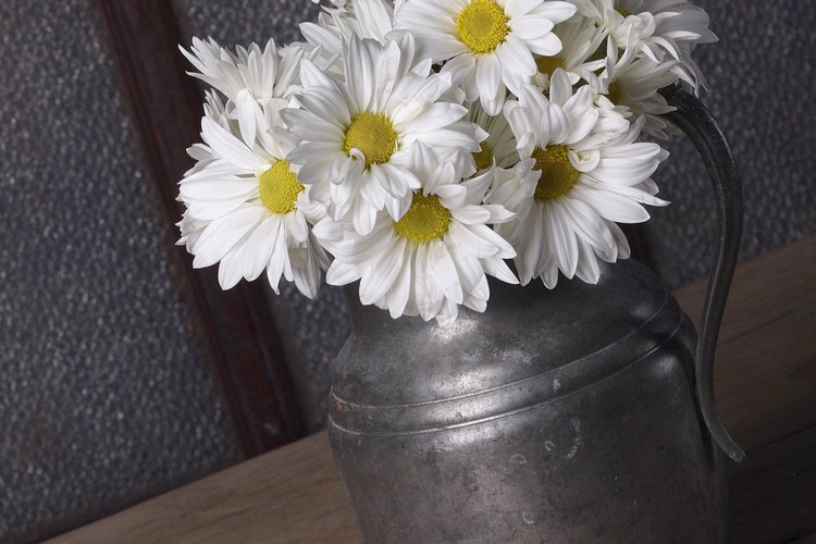 Prolonga la frescura de tus flores recién cortadas.