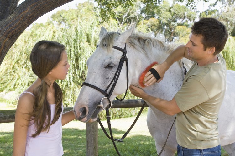 ¿Cuáles son las causas de la pérdida de pelo en los caballos?