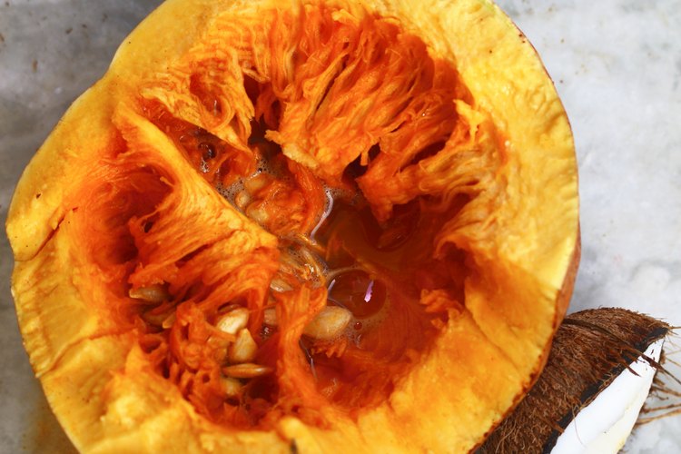 Una planta de calabaza madura tiene tres partes principales: zacillos, el tallo y la cáscara.