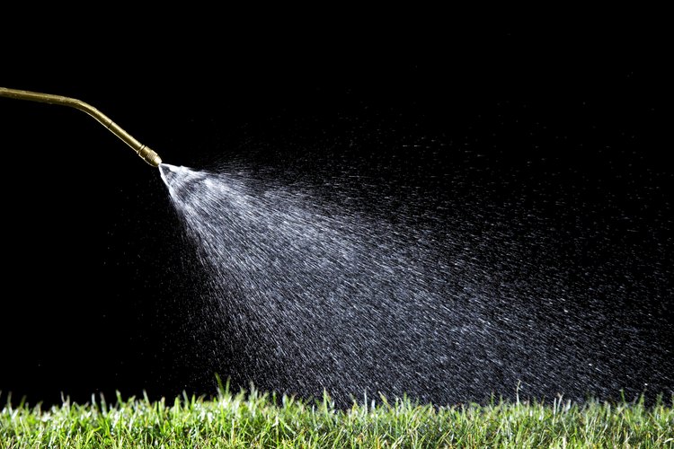 Utiliza agua tratada y potable para tus plantas.