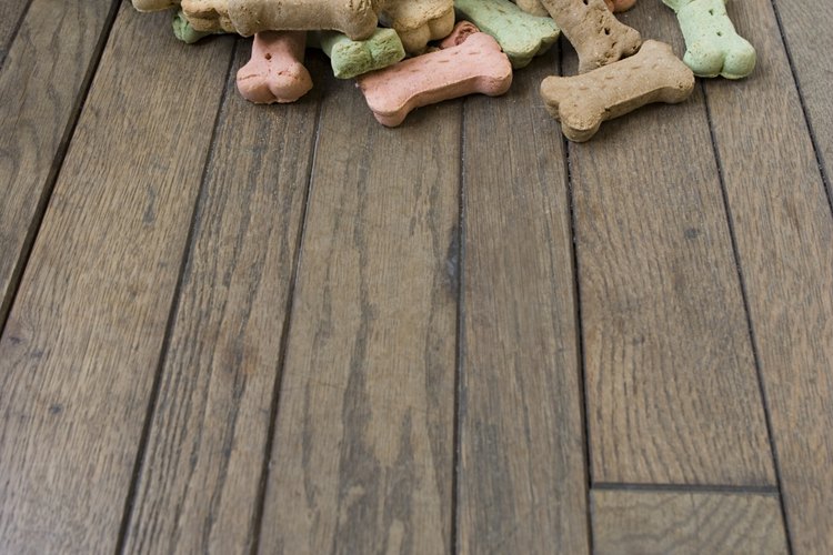 Algunas comidas son malas para tu perro.