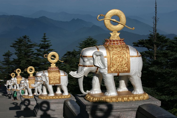 Los elefantes blancos son considerados sagrados a lo largo de Vietnam y la mayor parte de Asia.