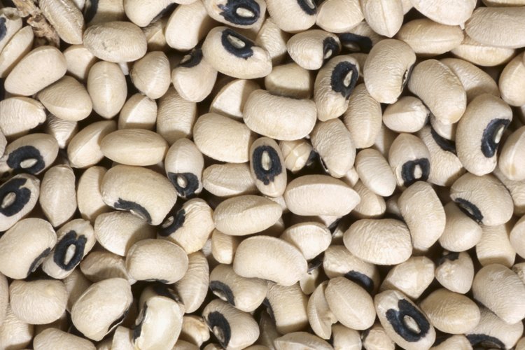 Pequeñitos y suaves.
