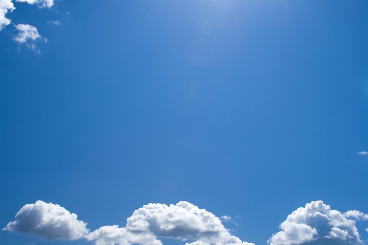 Redirige la luz del sol a tus plantas usando un par de consejos.