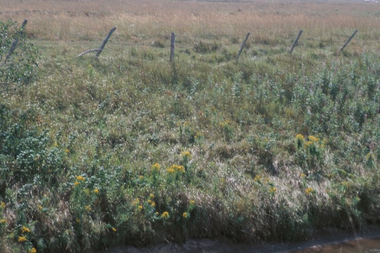 Una zanja grande lleva el agua lejos de tu jardín.