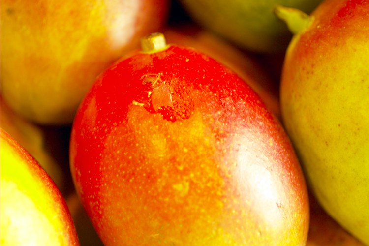 Los mangos son frutas tropicales que saben tan bien como se ven.
