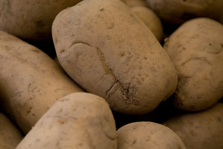 Las papas deben desarrollar tubérculos para sobrevivir.