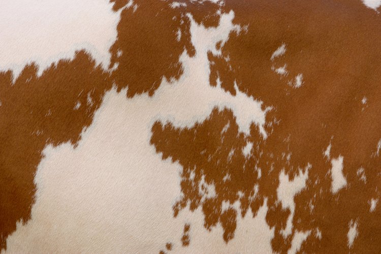Cuida correctamente tu alfombra de piel de vaca para prolongar su vida útil.