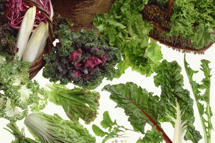 Muchos vegetales de hojas verdes prosperan en jardines con sombra.