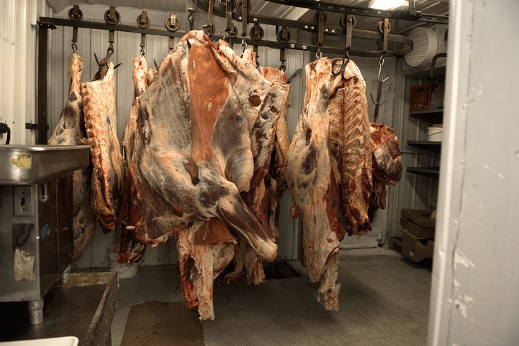 Intenta cocinar el pescuezo de la vaca.