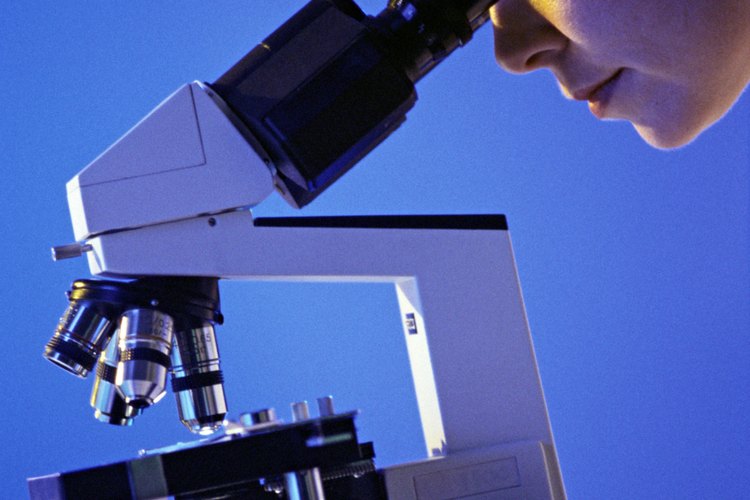 Los microscopios desempeñan un papel vital en la identificación e investigación de las partículas.