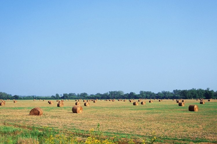 Iowa.