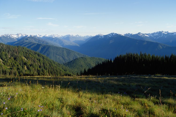 Los senderos para caminar de Sequim tiene vistas de las Olympic Mountains.