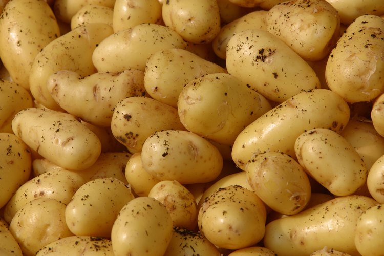 Una sola papa grande con piel tiene 3,2 miligramos de hierro.