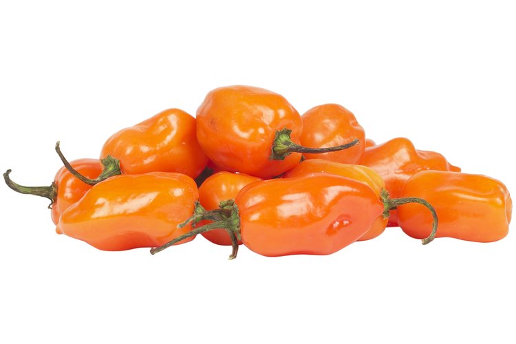 Los italianos utilizan diversas variedades de pimientos en sus recetas.
