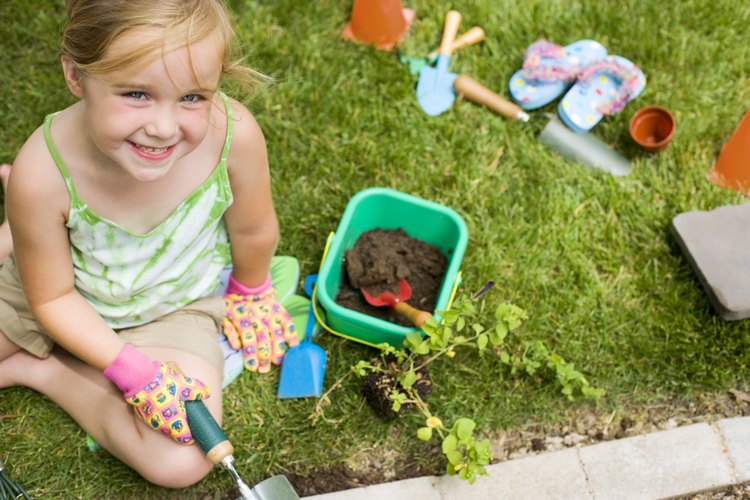 Los niños pueden aprender una gran cantidad de lecciones de ciencias al plantar semillas.