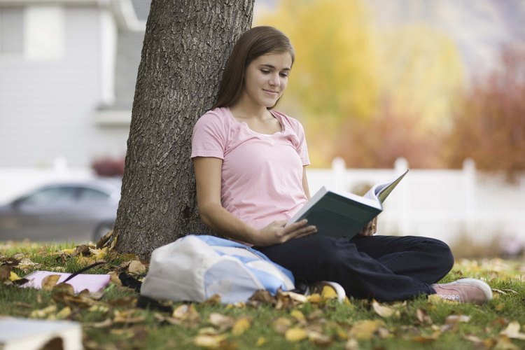 Los adolescentes aprecian las novelas que lidian con los temas que ellos conocen.