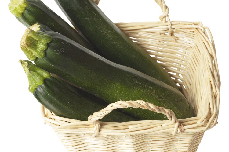 El zucchini está listo para cocinar cuando alcanza un largo de siete a ocho pulgadas (17 a 20 cm).