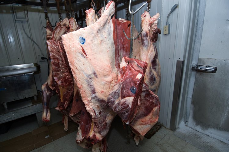 Las carnes que se han echado a perder son propensas a causar hedor.