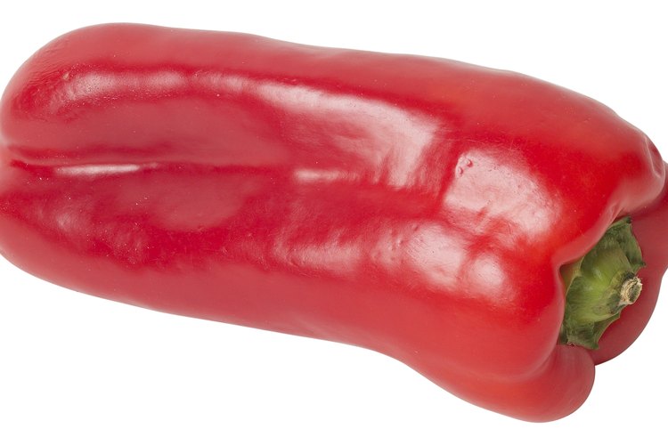 Los pimientos rojos necesitan de mucho sol y de humedad para crecer.