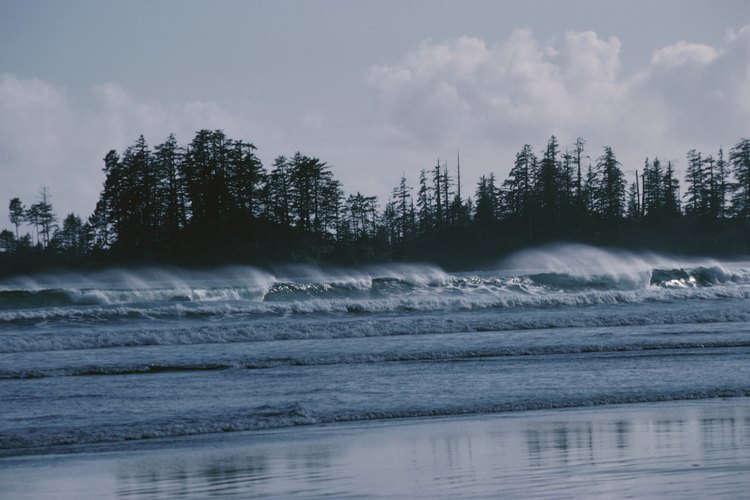 Olas rompiendo en Long Beach, que forma parte de la reserva Pacific Rim National Park Reserve of Canada.