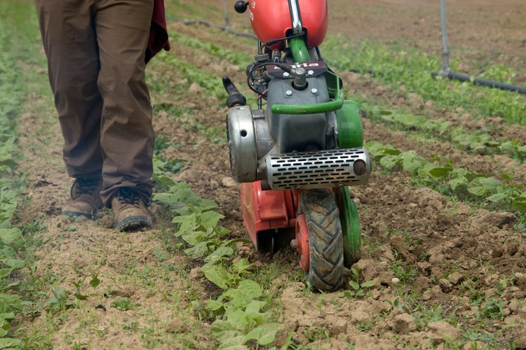 Dejar residuos de plantas en el campo, mientras labras la tierra puede prevenir la erosión.