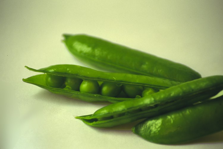 Los guisantes son ricos en fibras, vitaminas y minerales.