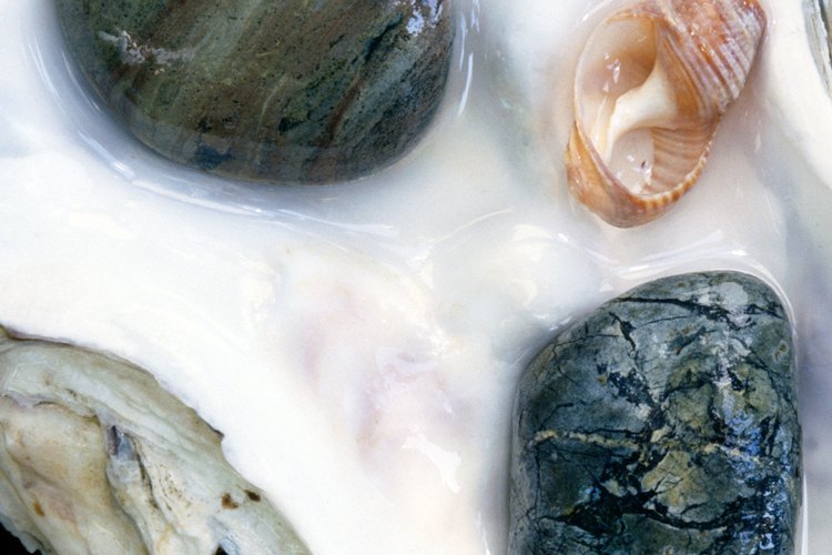 La playa Agate se llama así por las piedras semipreciosas que frecuentemente se lavan en sus orillas.