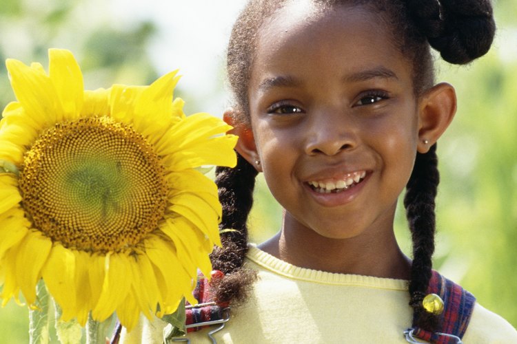 Los girasoles son un complemento ideal para el jardín de un niño.