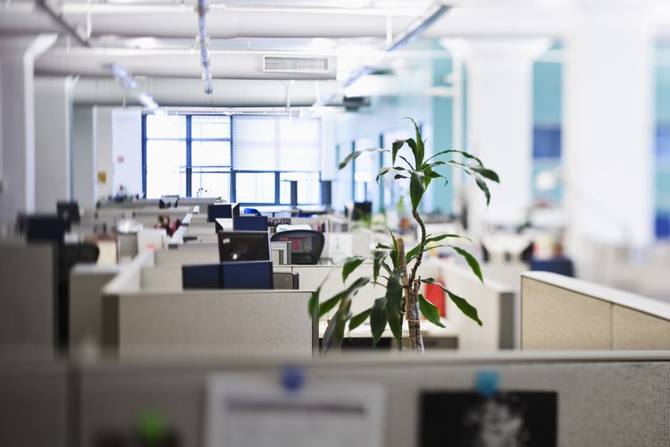Idealmente una empresa debe tener una reputación firme y confiable