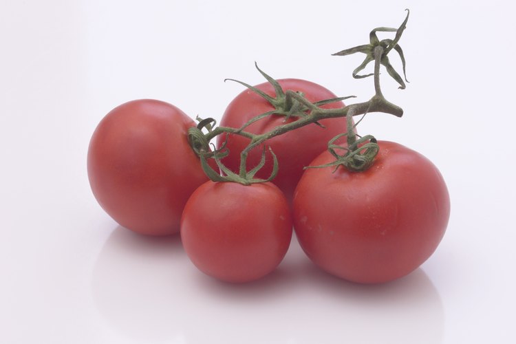 Las semillas de tomates frescos crecen como las semillas envasadas.