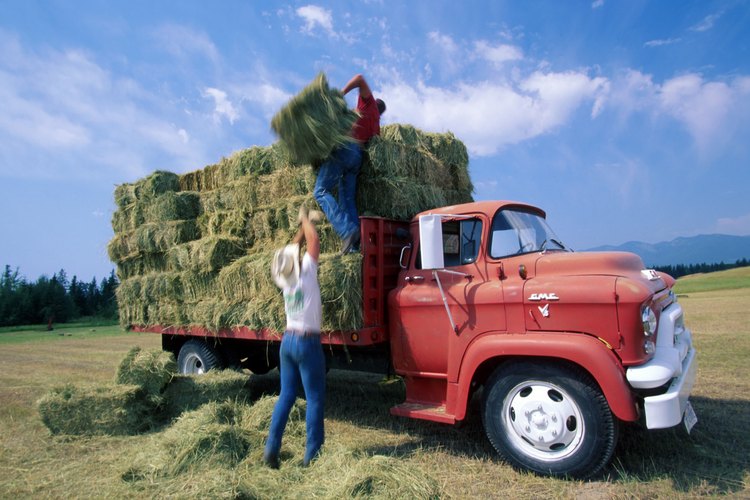 Queda prohibido el trabajo agrícola peligroso.