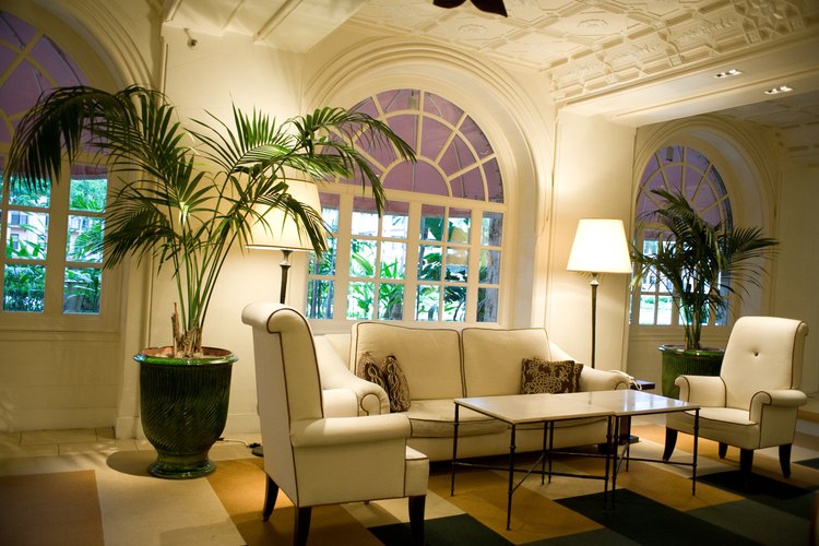 Palmeras parlor en una sala de estar.