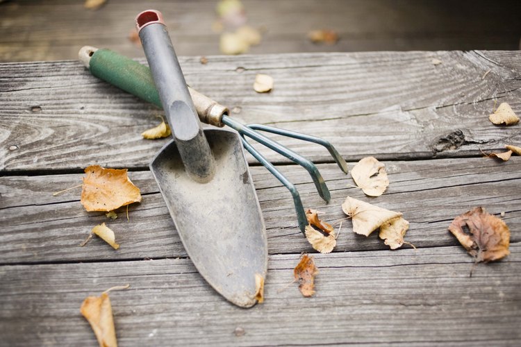 Todos los jardineros deben tener ciertas tareas para hacer el trabajo de jardinería.