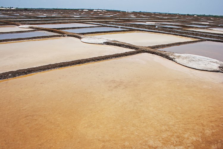 Gran salina.