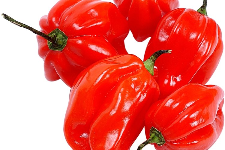 Salva tu platillo demasiado picante.