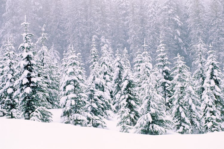 Invierno.